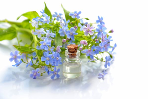essential-oils-for-beginners-in-aromatherapy